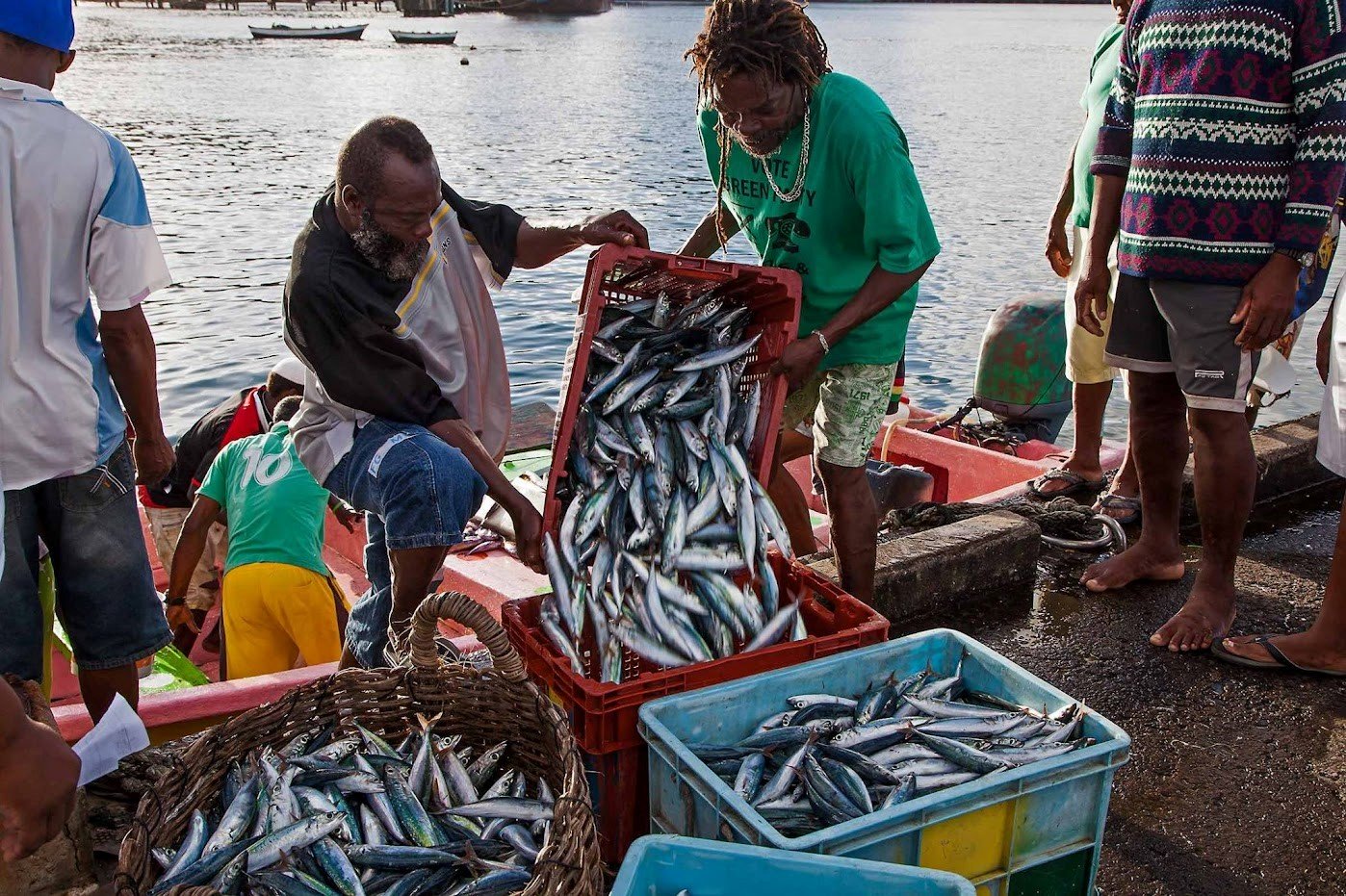CAF, FAO, and CRFM Partner on New Regional GEF Funded Blue Economy Project
