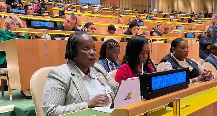 Minister Clarke Participates in Commonwealth Environment and Climate Ministers Meeting at Recent United Nations High-Level Week