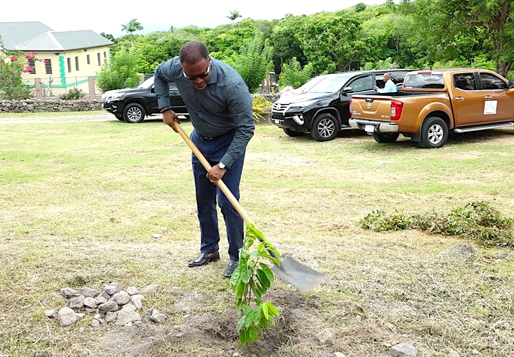NIA Cabinet Members Participate in the 40th Independence Anniversary Tree-Planting Campaign