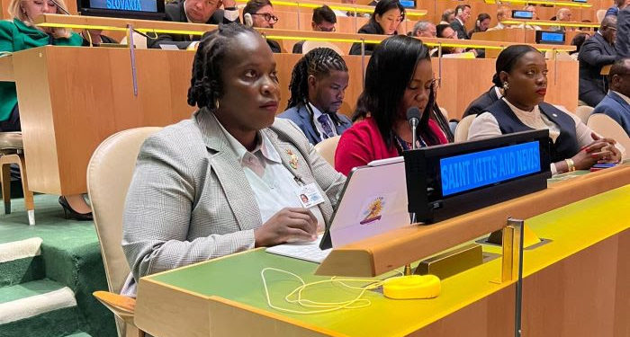 Minister Clarke addresses Member States of the United Nations at a Leaders Dialogue of the SDG Summit