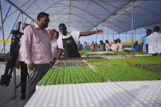 Guyana Making Headway in Food Security Efforts With Hydroponics
