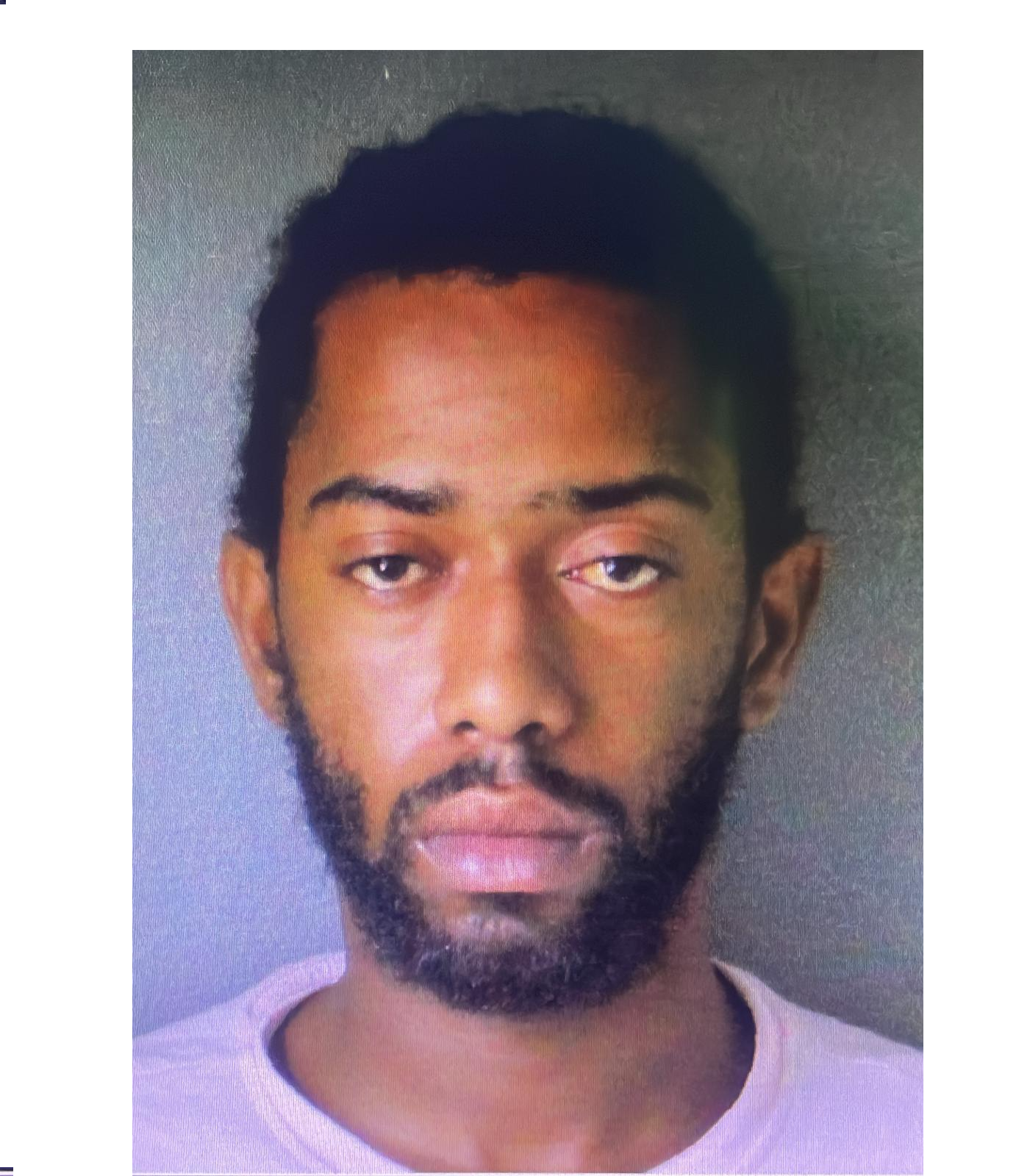 Multiple Charges Laid Against Rejon Hanley for Cannabis Importation