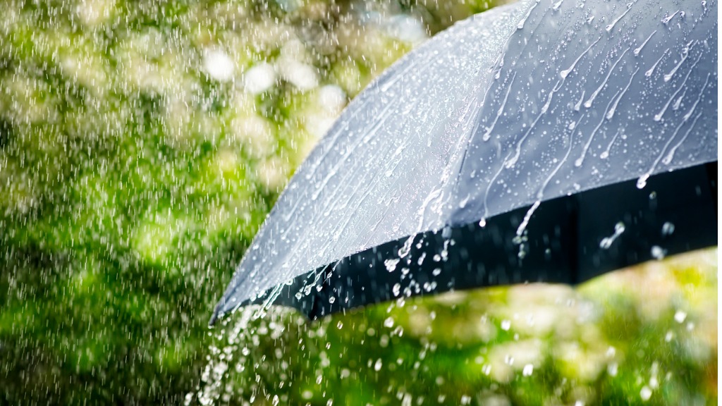 Antigua: Schools Closed on Tuesday Due to Tropical Storm Philippe