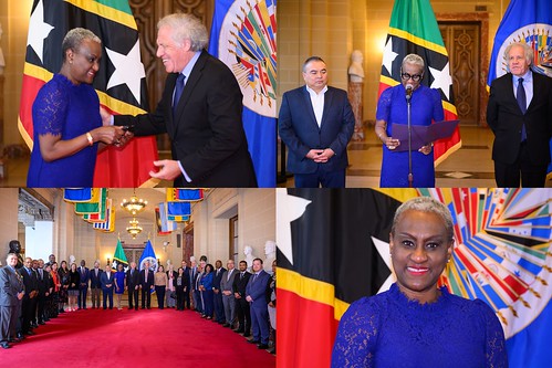 New Permanent Representative of St. Kitts and Nevis to the OAS Presents Credentials