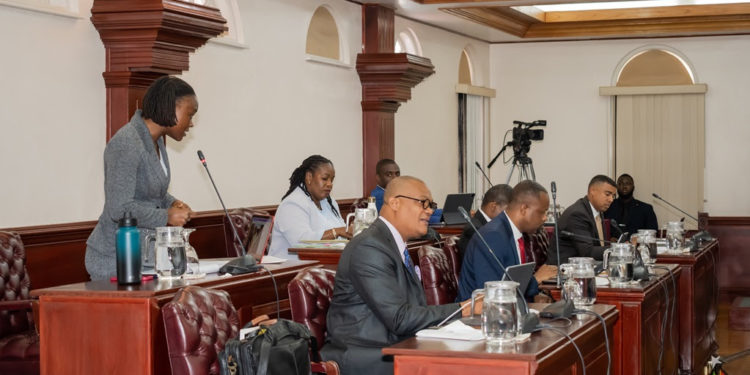 Minister Of State Phillip Condemns Violence Against Seniors and Other Vulnerable Persons
