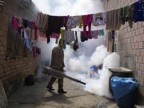 WHO cites tenfold increase in reported cases of dengue over the last generation