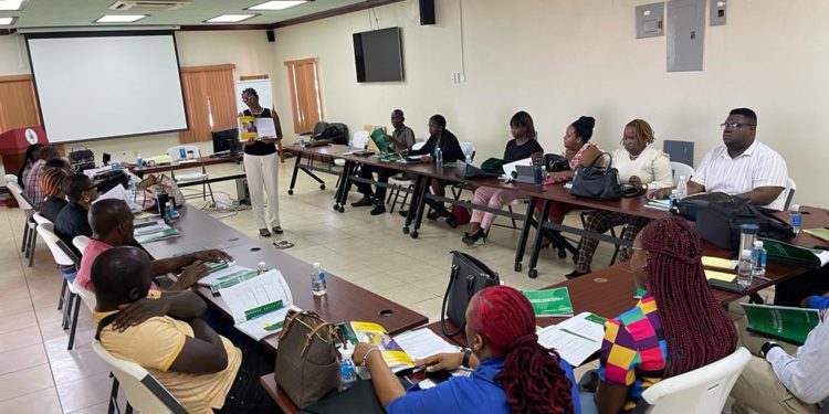 Elevate Launches Comprehensive Training Sessions to Empower Participants in St. Kitts And Nevis