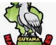 Guyana Harpy Eagles Fast Bowler Ronsford Beaton Suspended from Bowling