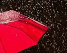 Rain Forces Postponement of Races