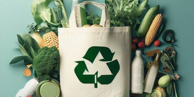 Five Tips on Helping You Go Green in 2024