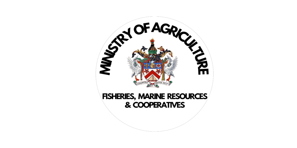 Open Call for Experts to Serve as Members of Advisory Committee on The Implementation of The SKN Agricultural Transformation and Growth Strategy 2022-2031