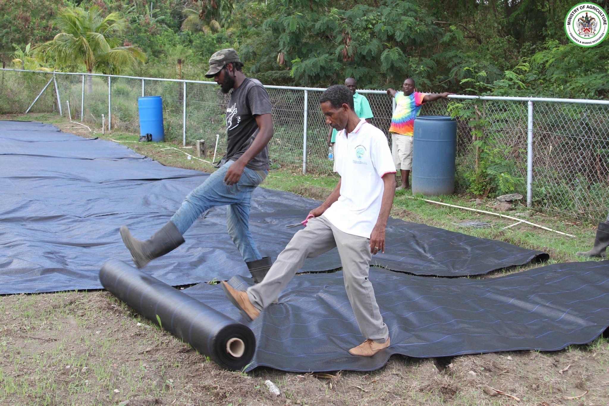 SKN Government Fulfilling Commitment as Farmers Receive Drought Resistance Materials as Part Of 25 By 25 Agenda Rollout