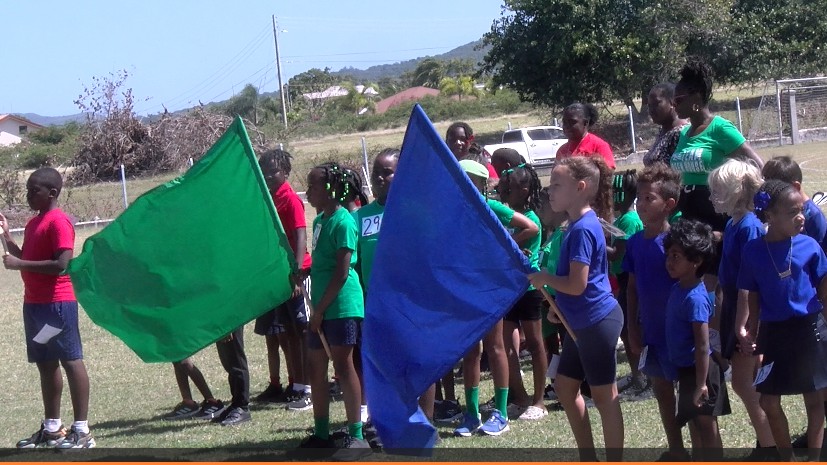 Athletics :  Green House Emerge Champions at Montessori