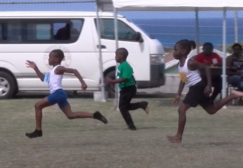 Athletics  : Blue House Dominates at VOJN Primary Sports Meet