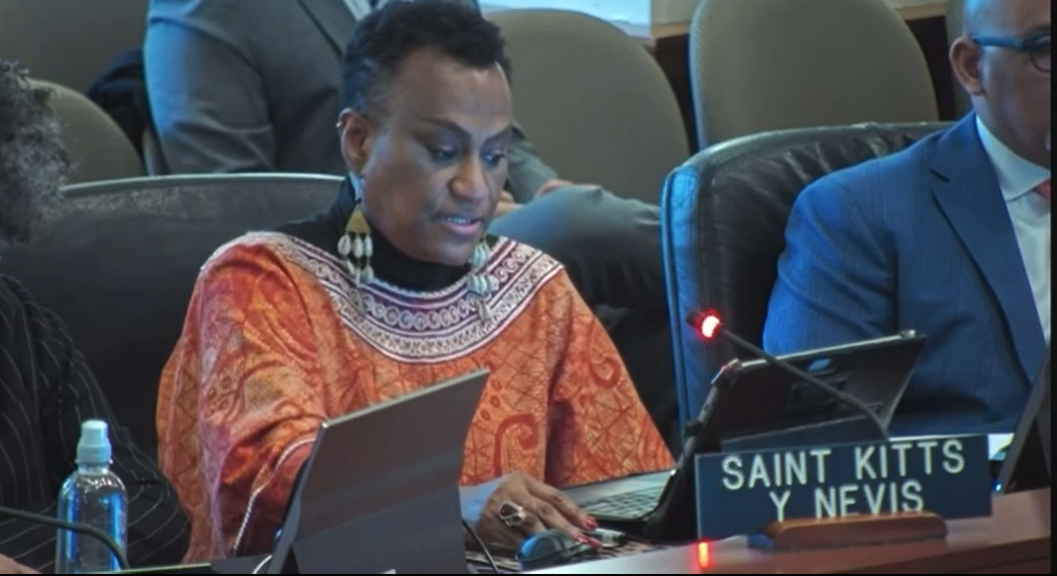 SKN Delegation Delivers Statement at OAS International Day of Remembrance of the Victims of the TransAtlantic Slave Trade