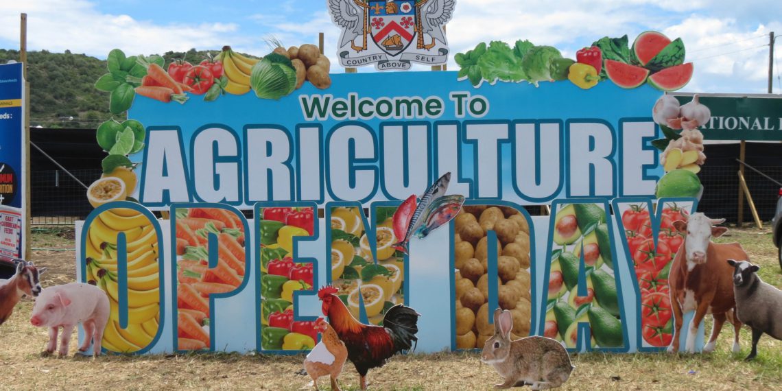 St. Kitts Agriculture Open Day to Include Veterinary Services for The First Time Ever