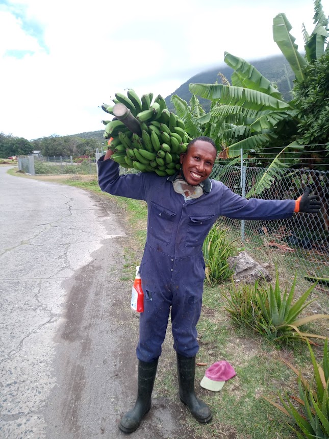 Nevisian Entrepreneurs Benefit from The Eastern Caribbean Green Entrepreneurship Initiative
