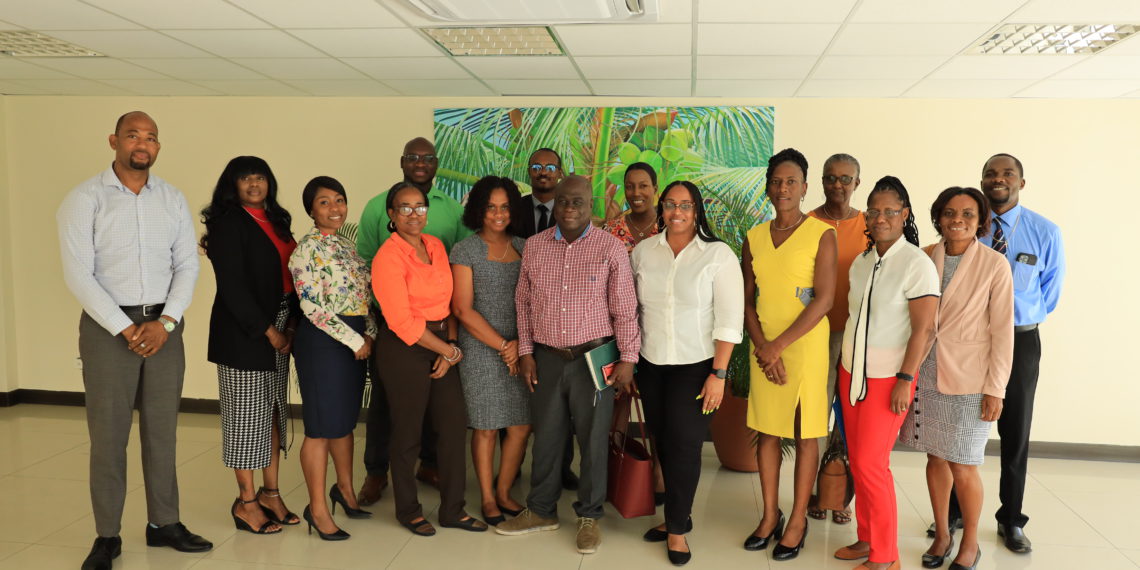 Single-Use Plastic Ban: Nevis Stakeholders Consultation