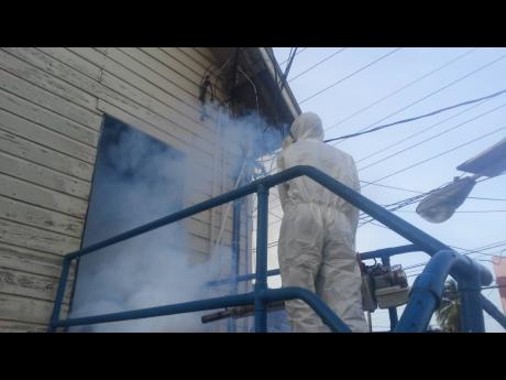 PAHO Urges Strengthening Dengue Prevention in The Caribbean
