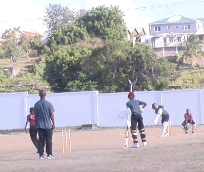 Cricket Fundraiser A Success