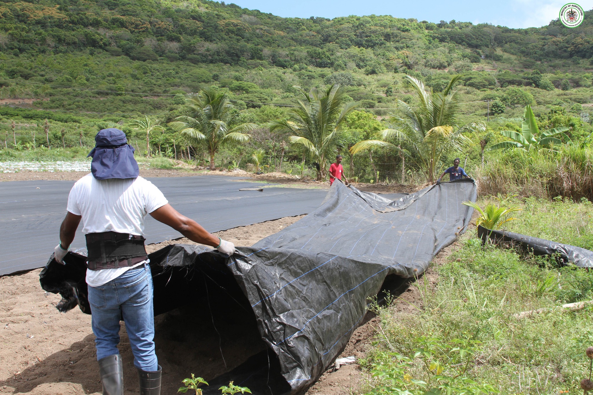 Farmers Extend Gratitude to Government and Ministry of Agriculture for Vital Support; Free Materials Distributed as Part Of 25 By 25 Initiative