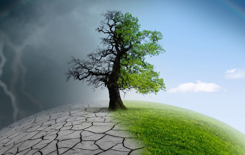 CariCOF Says 2024 Is A Year of Climate Extremes in The Caribbean