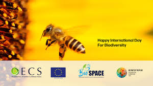 OECS Celebrates the Work of Beekeeper in St. Kitts and Nevis on International Day for Biological Diversity