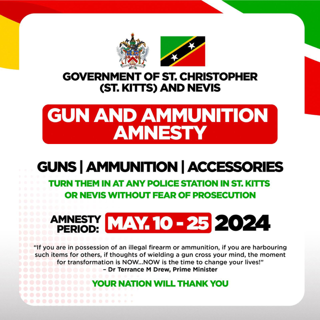 Gun and Ammunition Amnesty