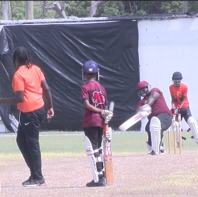 Crickert : Ivor Walters Primary Overpowers Charlestown Primary
