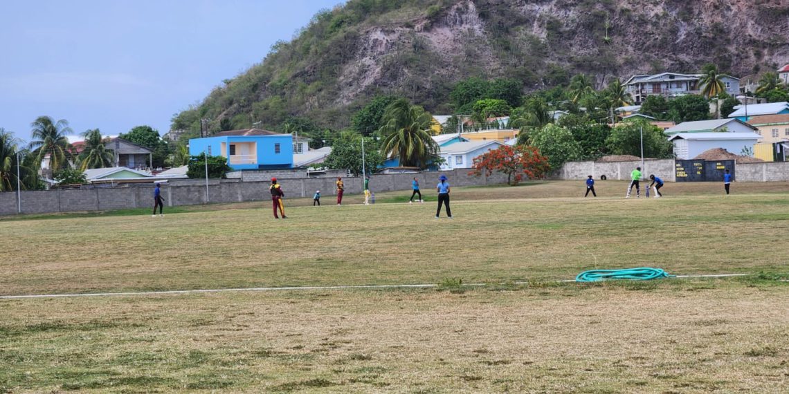 Cricket Returns to Primary Schools