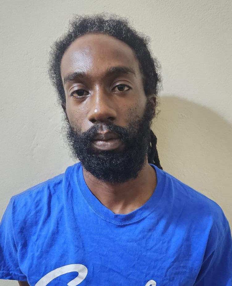 Execution of Search Warrant Results in Seizure of Firearm, Ammunition, and Arrest of one Person