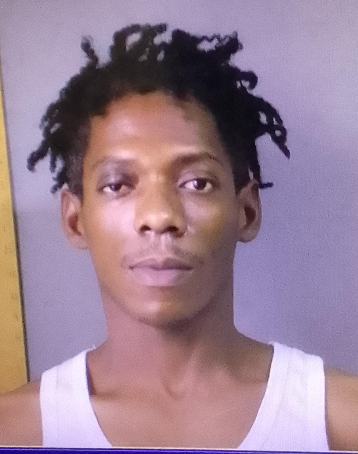 Arrest And Charge in Larceny by Servant Case