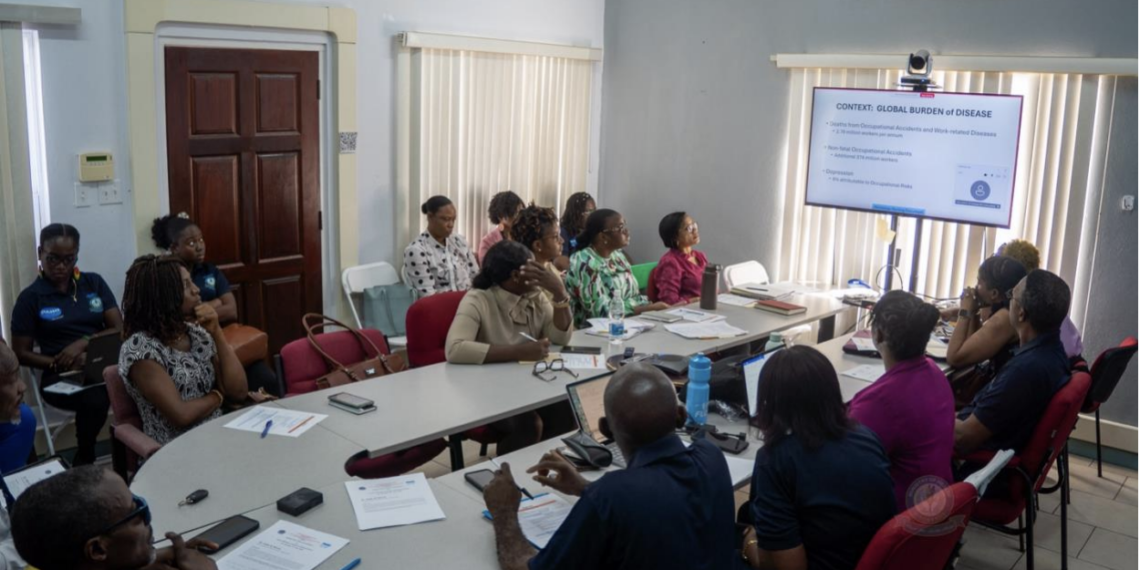 PAHO-Led Healthy Workplace Workshop Commences in St. Kitts