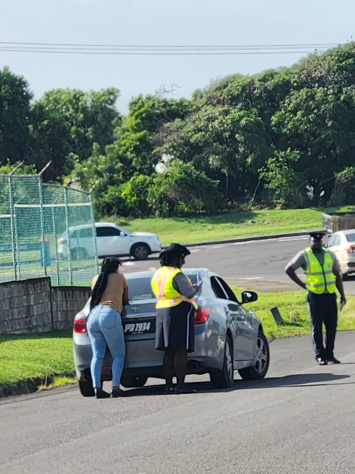 Traffic Violations