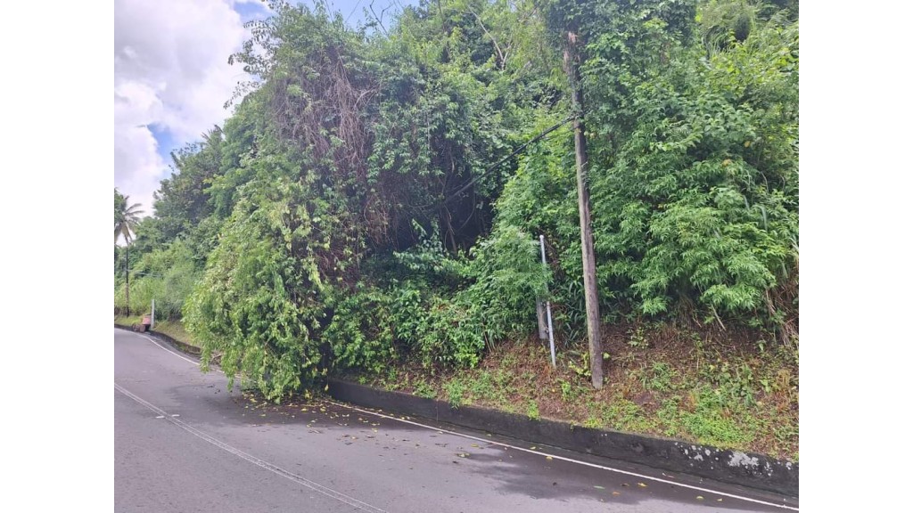 Minor Landslide Disrupts Traffic in St Kitts