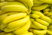 World Bank Backs Global Fight Against Banana Disease in Latin America