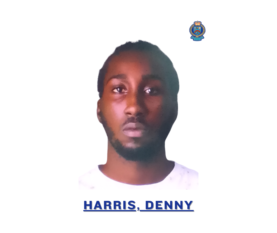 Multiple Charges Laid Against Denny Harris