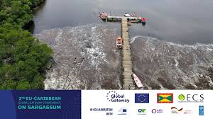 Grenada to Host 2nd EU-Caribbean Global Gateway Conference on Sargassum – October 1-2
