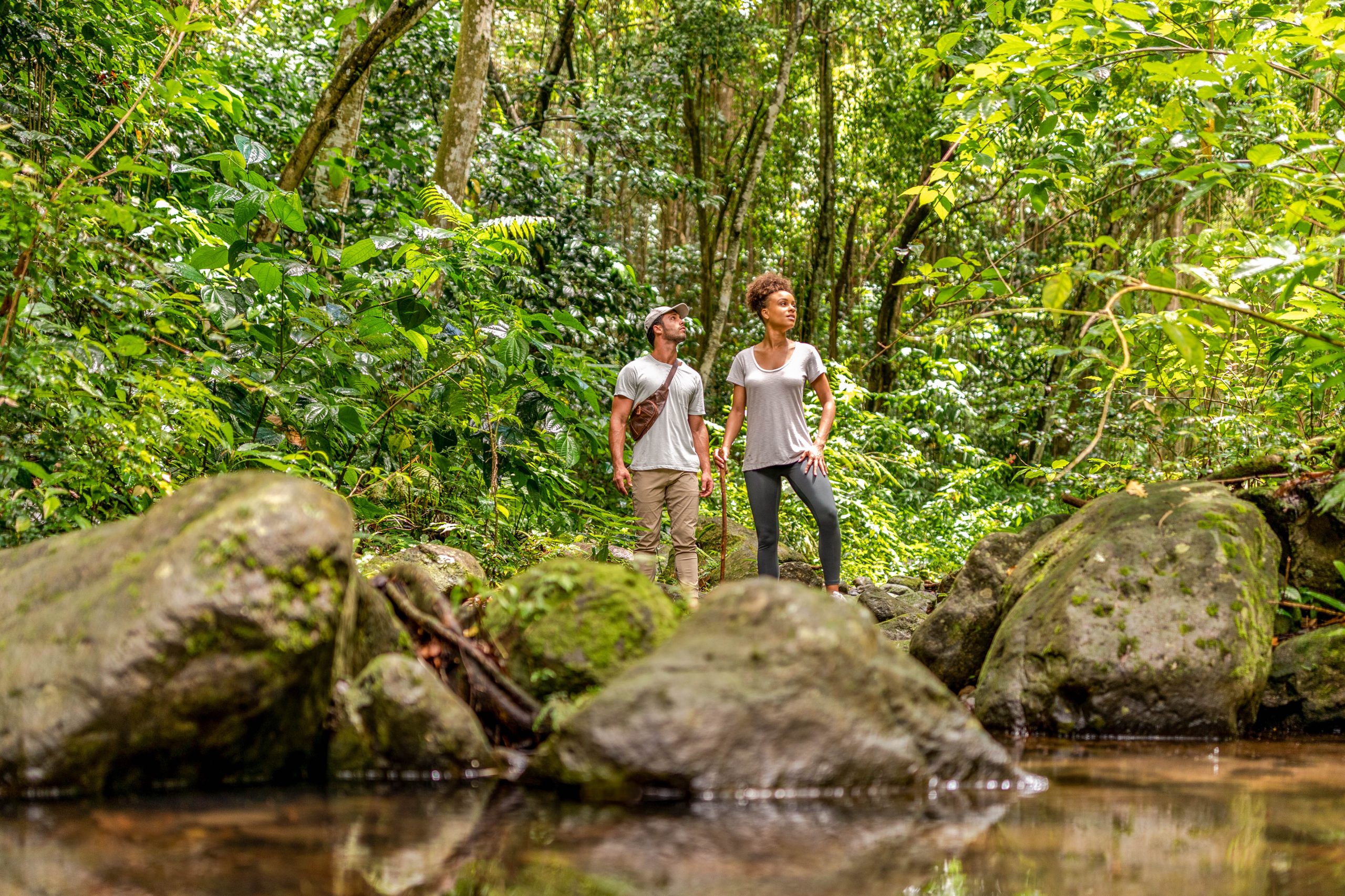 World Tourism Day 2024: St. Kitts Highlights Tourism’s Role in Fostering Global Peace
