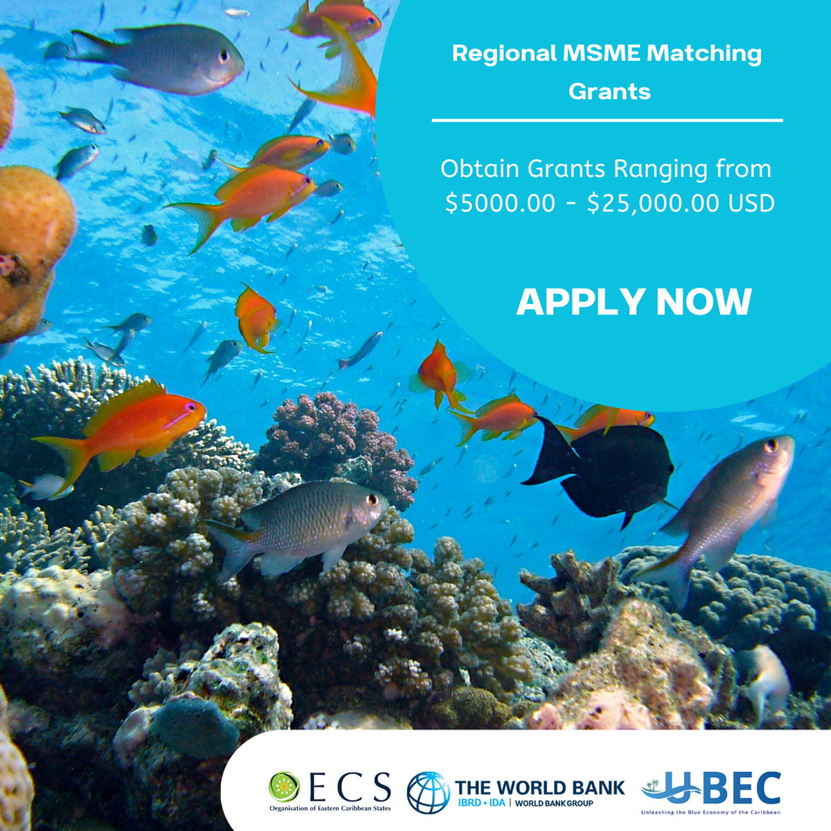 Matching Grants Programme Launched: 4.5 Million USD Available for MSMEs