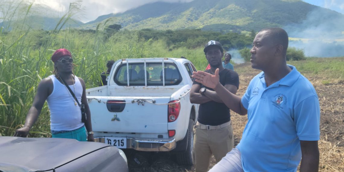 Press Release: Project ELEVATE’s Commitment to Federation’s Food Security