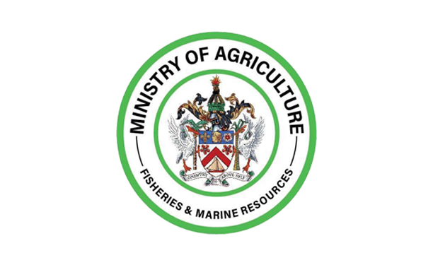 Department Of Marine Resources Announces Start Of 2025 Fishing Vessel Inspection and Licensing Period