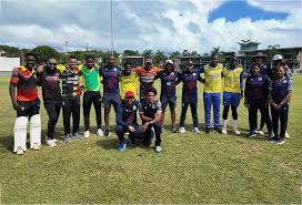 Cricket W.I Launches Program to Accelerate Player, Coaching Development