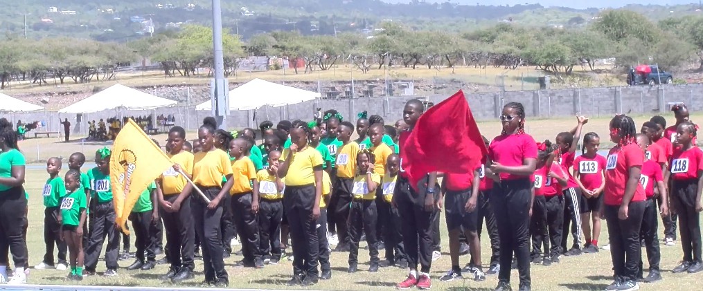Athletics  : GOLD House Prevails in Close Encounter at IWPS Sports Meet