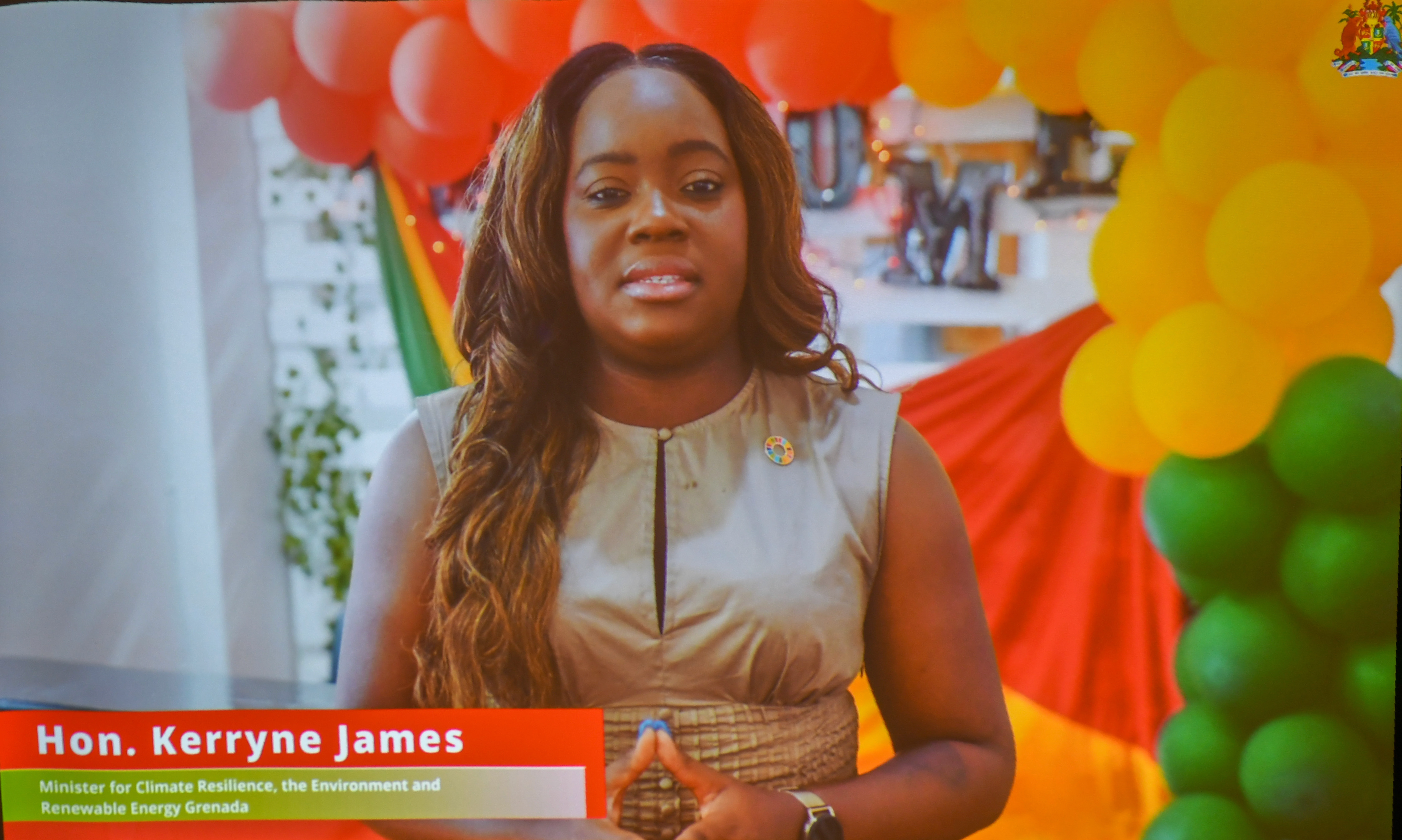 Grenada Calls for Urgent Sustainable Energy Action