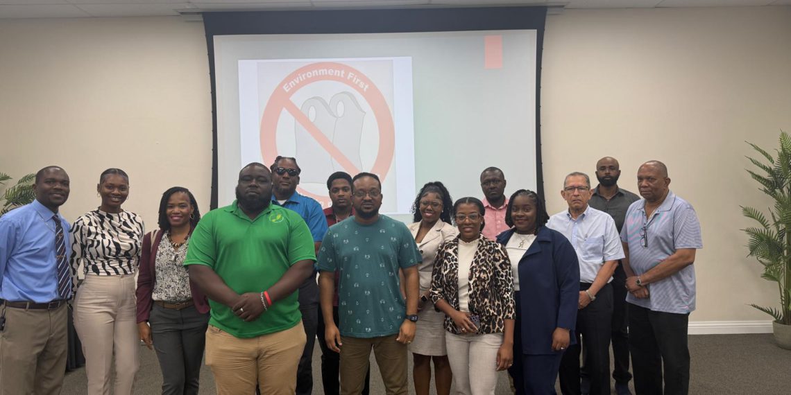 Department of Environment Hosts First Session of Single-Use Plastic Consultation Meeting SKNISEditor by SKNISEditor  March 26, 2025
