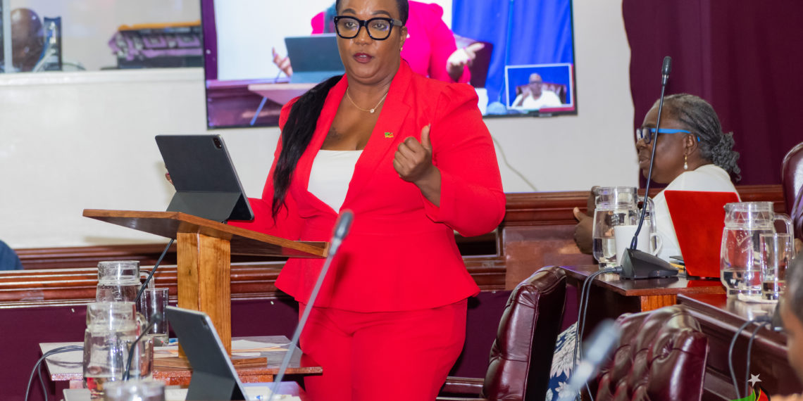 “A Win for Tourism” – Minister Henderson Praises Passage of The Plastic Waste Reduction Bill, 2025