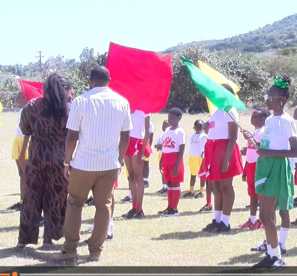 Athletics : Gold House Wins Through At St James Primary