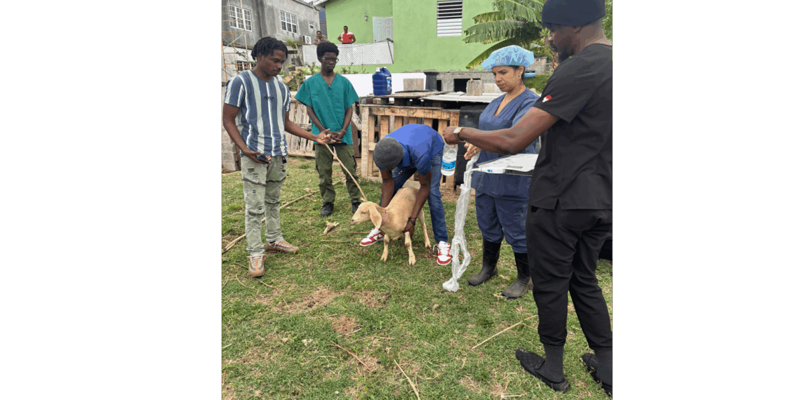 Department Of Agriculture Fosters Youth Engagement in Agriculture and Veterinary Medicine