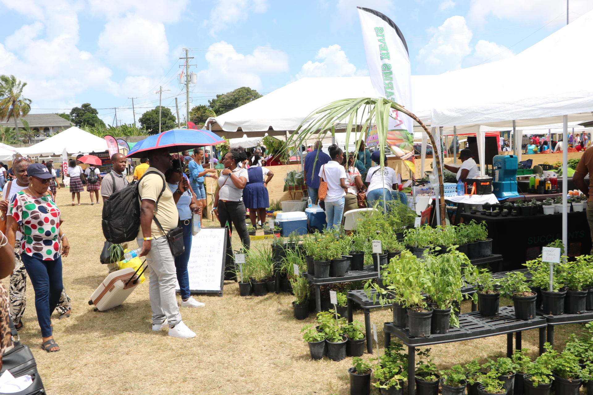Nevis’ 29th Agri Expo Celebrates Major Success and Growth in Local Agriculture